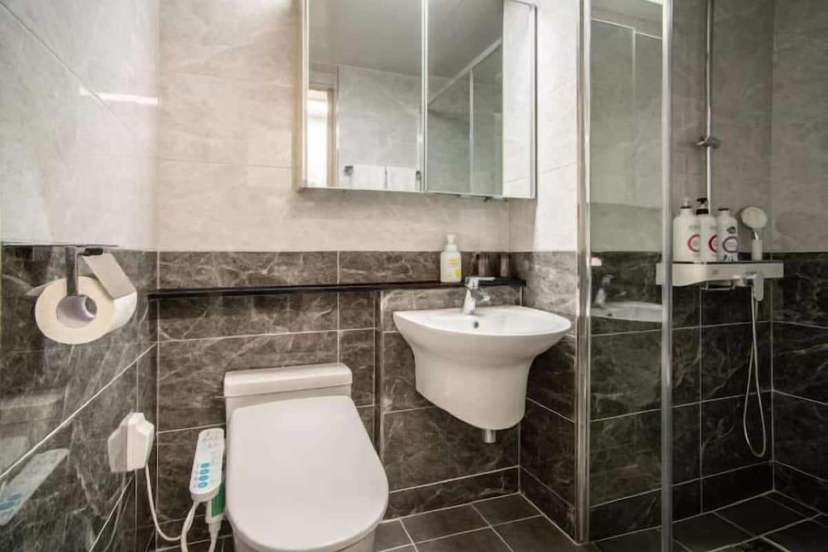 Shower, hair dryer, slippers, electronic bidet