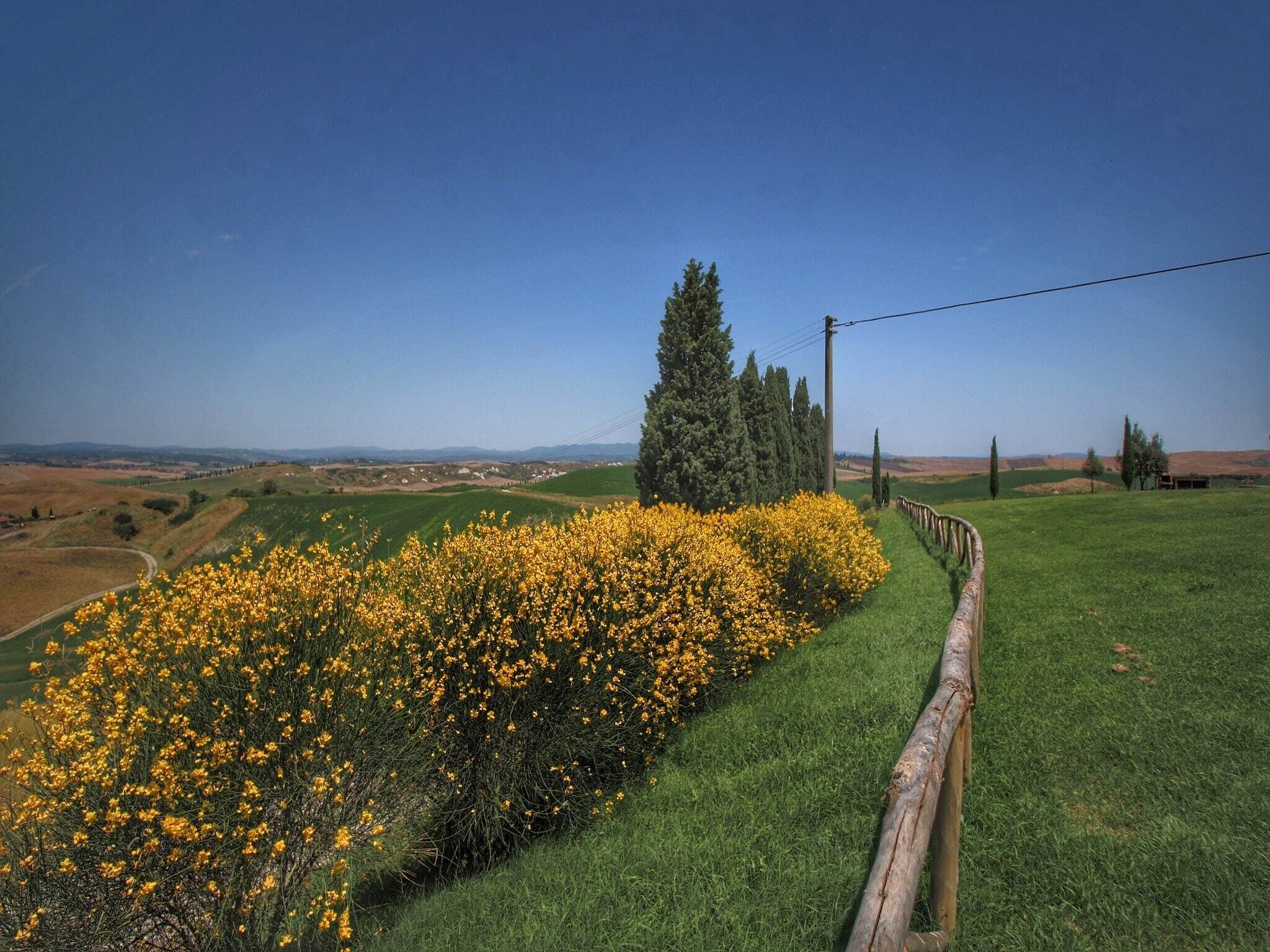 Een landelijk landschap met een begroeiing pad, gele bloemen en heuvels in de verte.