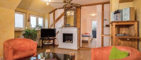 Televisor, llar de foc i reproductor de DVD