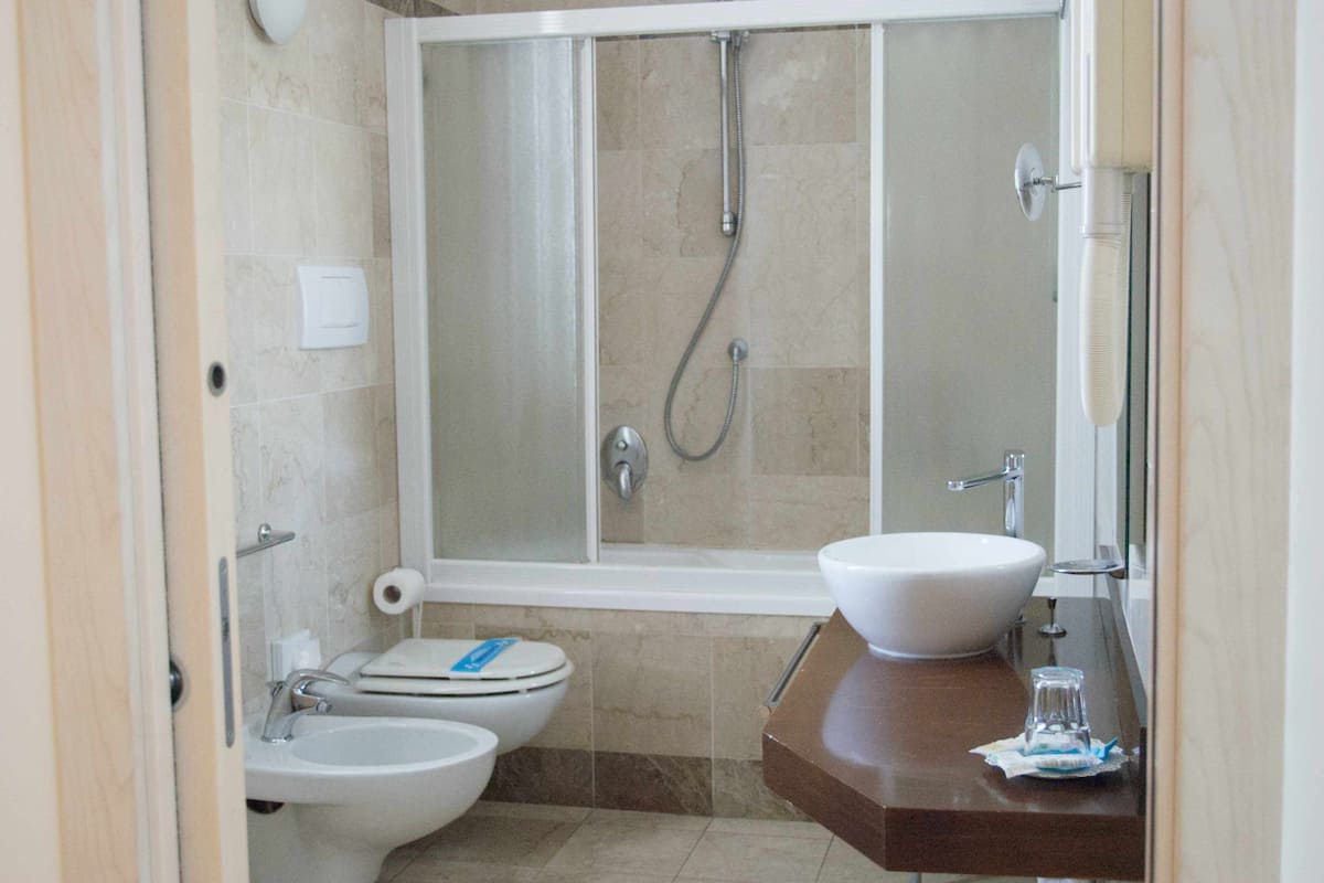 hair dryer, bidet, towels