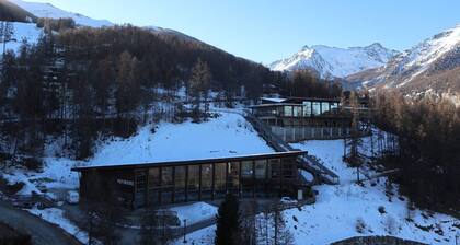 Studio 4 ppl, balcony, slopes, shops, pets allowed