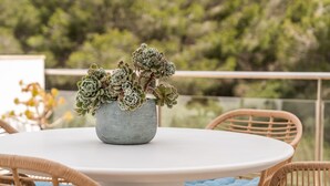 Ein runder Tisch mit einem Blumentopf, einer Sukkulente, Korbstühle und einer Geländer im Hintergrund.