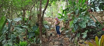 Casa da Mata Rest and quiet in nature