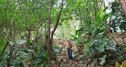Casa da Mata Rest and quiet in nature