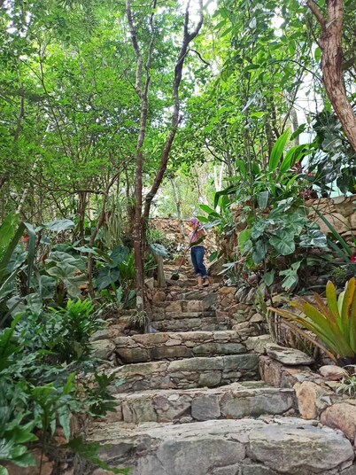 Casa da Mata Rest and quiet in nature
