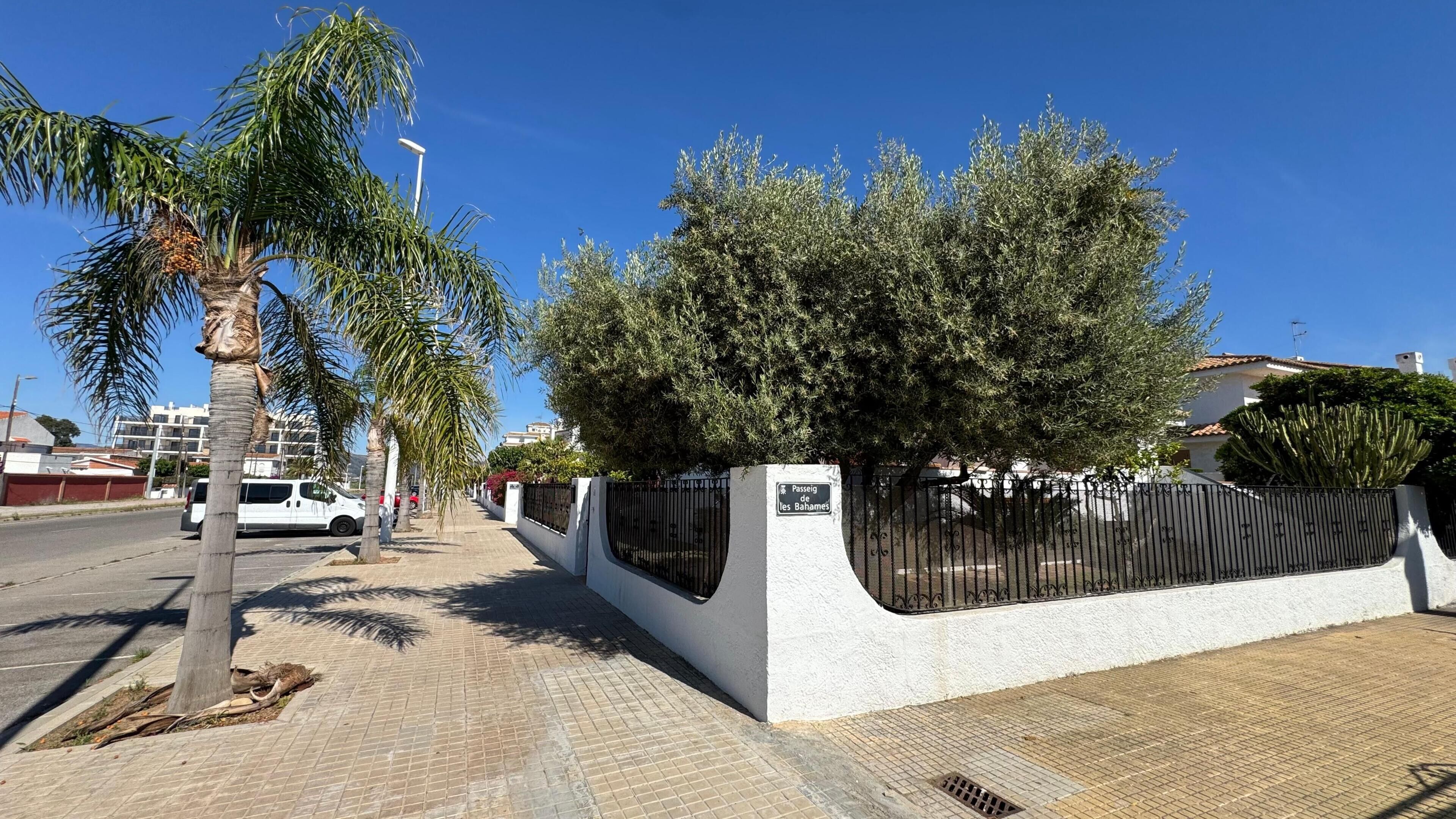 Un sendero pavimentado bordeado de palmeras y una pared blanca con cerca de metal negro.