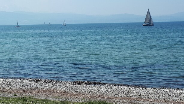 A calm sea with sailboats. - Vacations with a view of the Argen, an oasis of peace in the Argen Valley (Neukirch)
