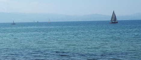 Ranta