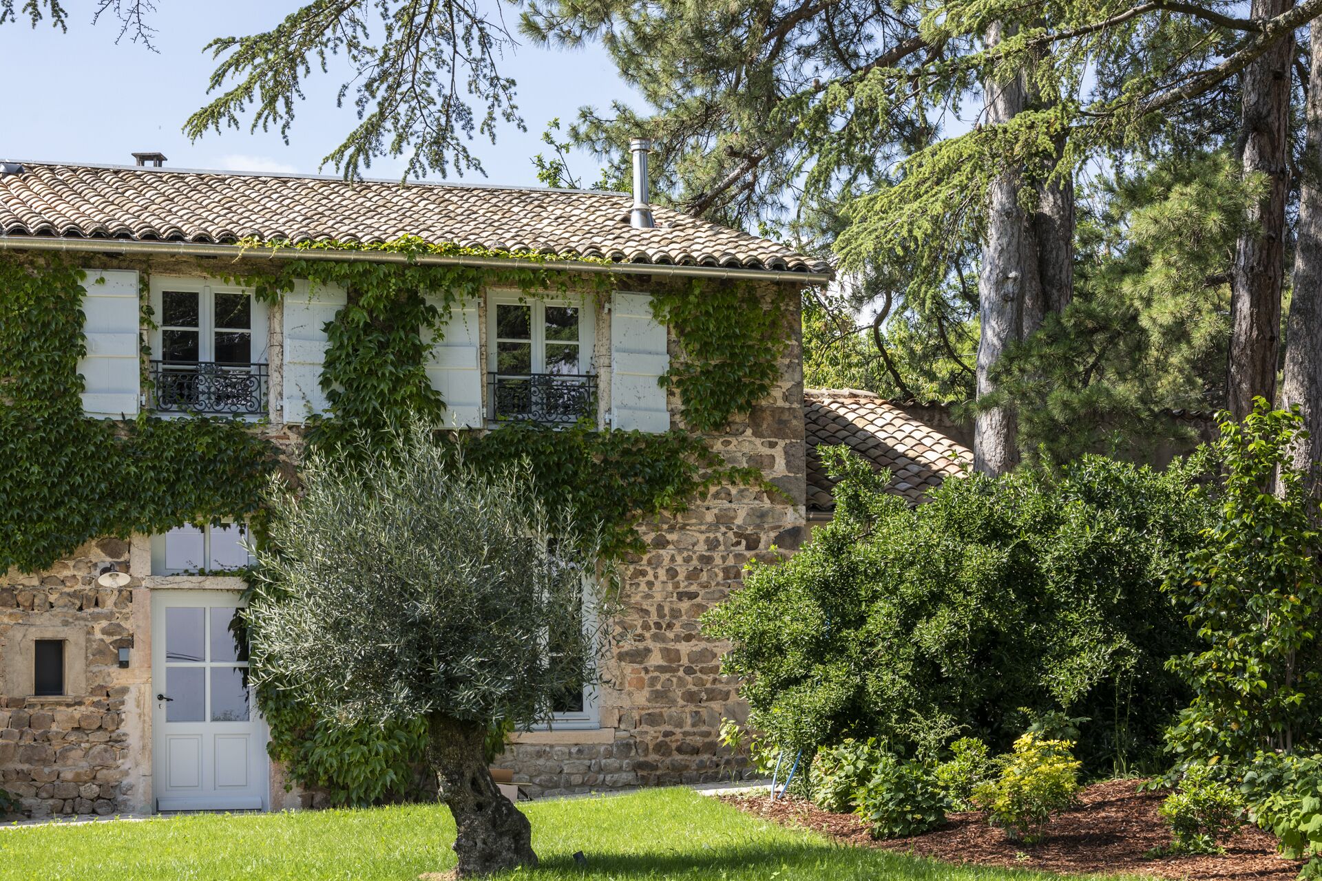 Un edificio de piedra con techo de tejas, muros cubiertos de hiedra y un pequeño árbol en el jardín delantero.
