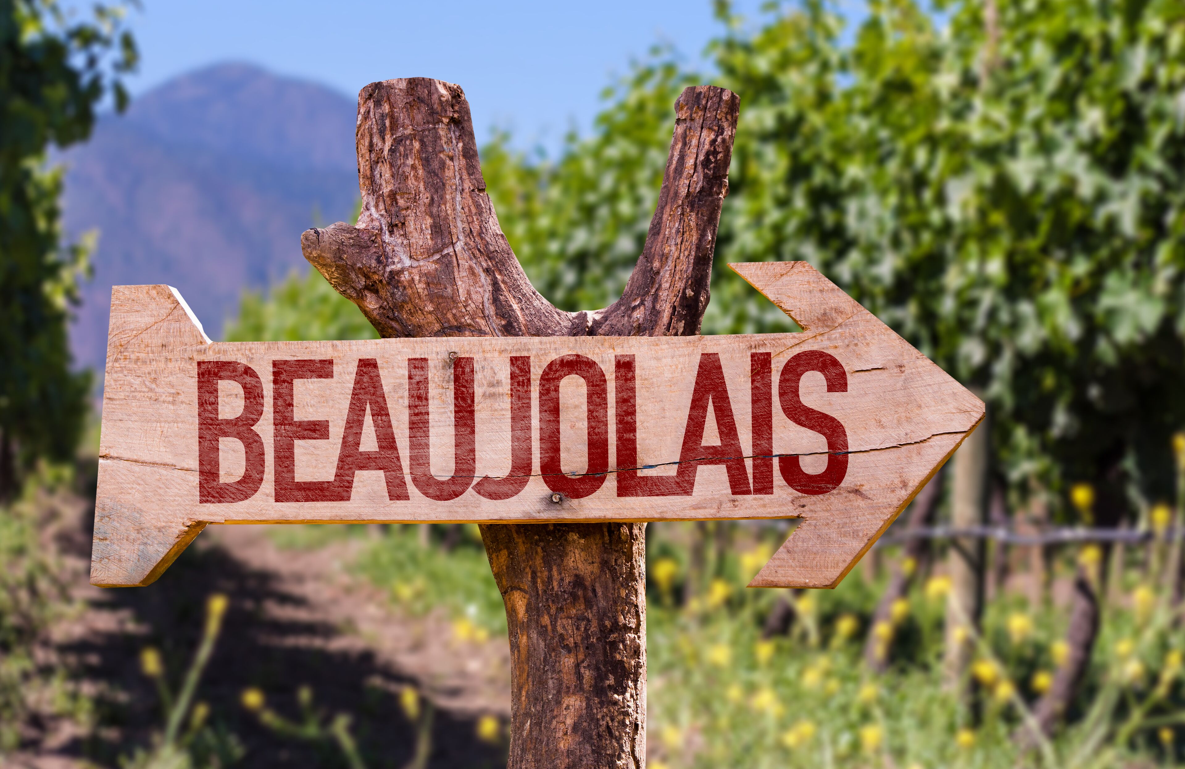 Un panneau en bois portant le mot « BEAUJOLAIS » et pointant vers la droite.
