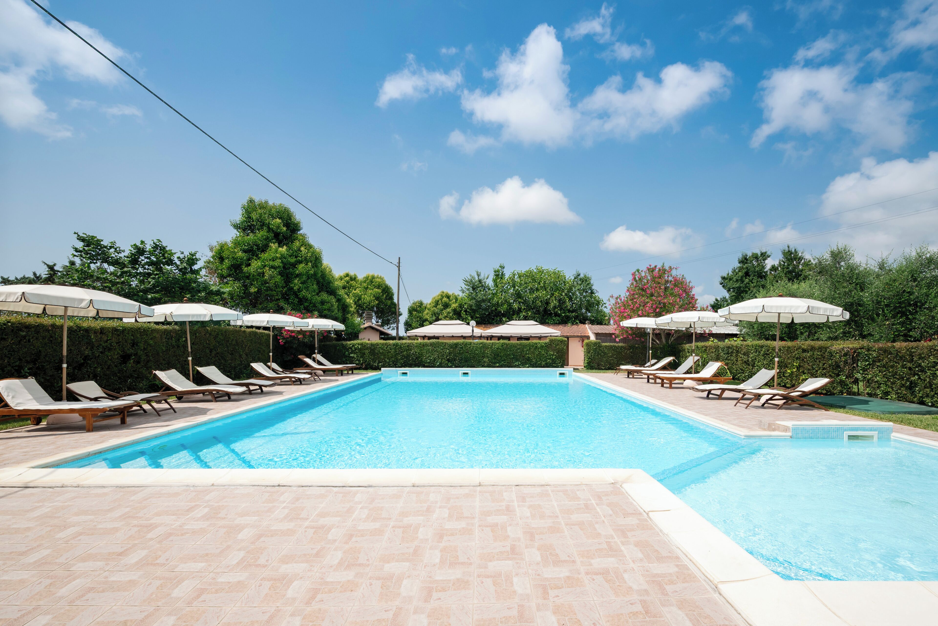 A swimming pool with lounge chairs and umbrellas, surrounded by greenery.