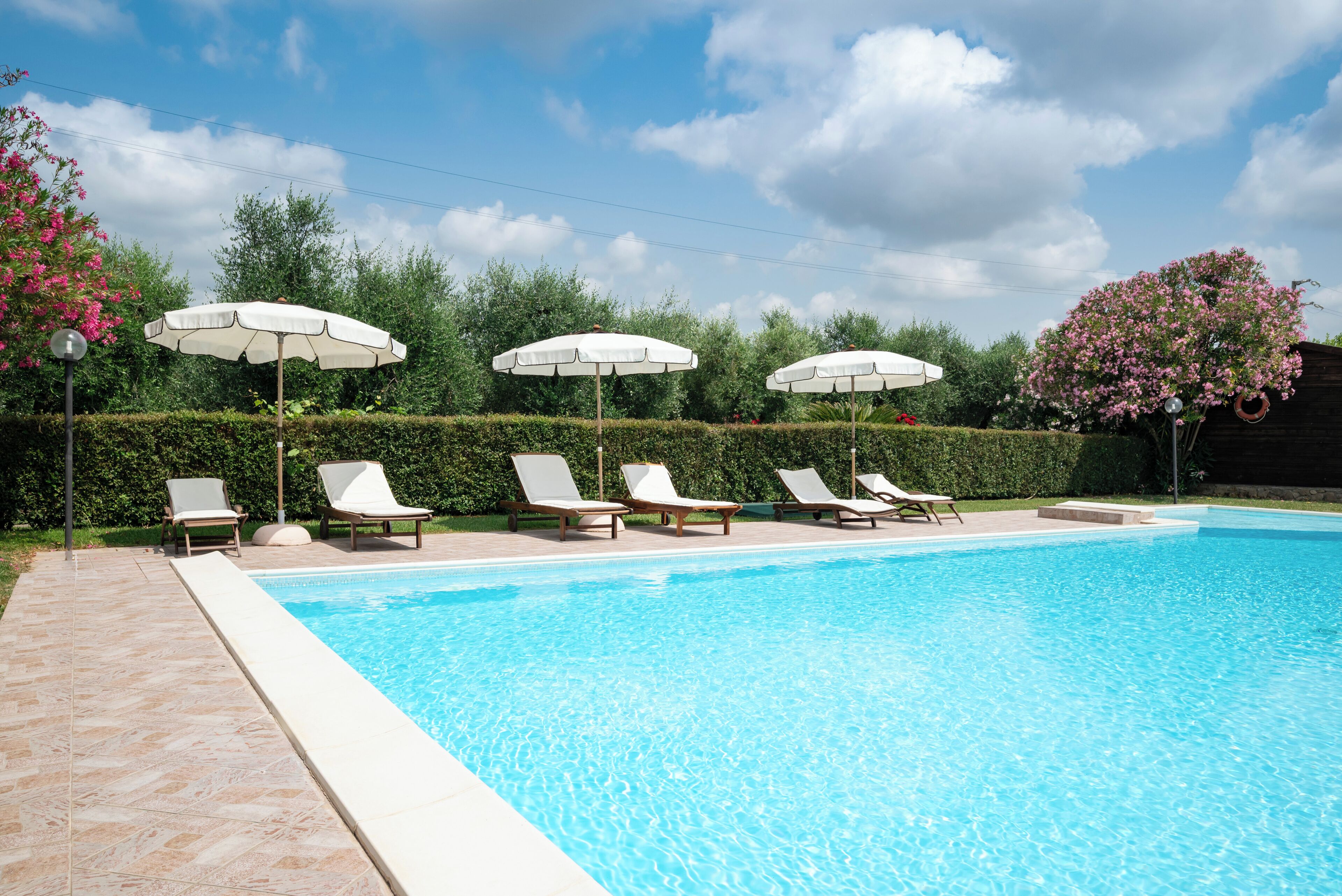 Una piscina con sillas de descanso y sombrillas, rodeada de setos y árboles.