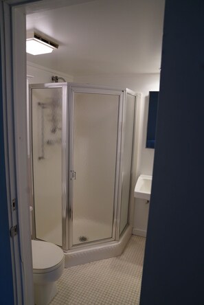 Ett badrum med en dusch som är avskärmad med glasväggar, en toalett och ett handfat.