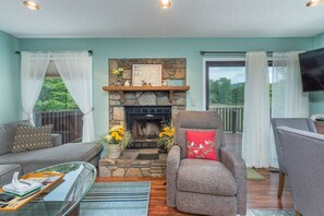 Télévision, cheminée, lecteur de DVD