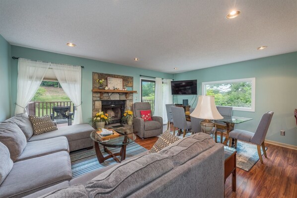 TV, fireplace, DVD player