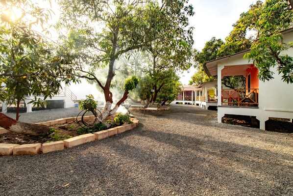 Living area - Gir Garjna The Cottage (Talala)