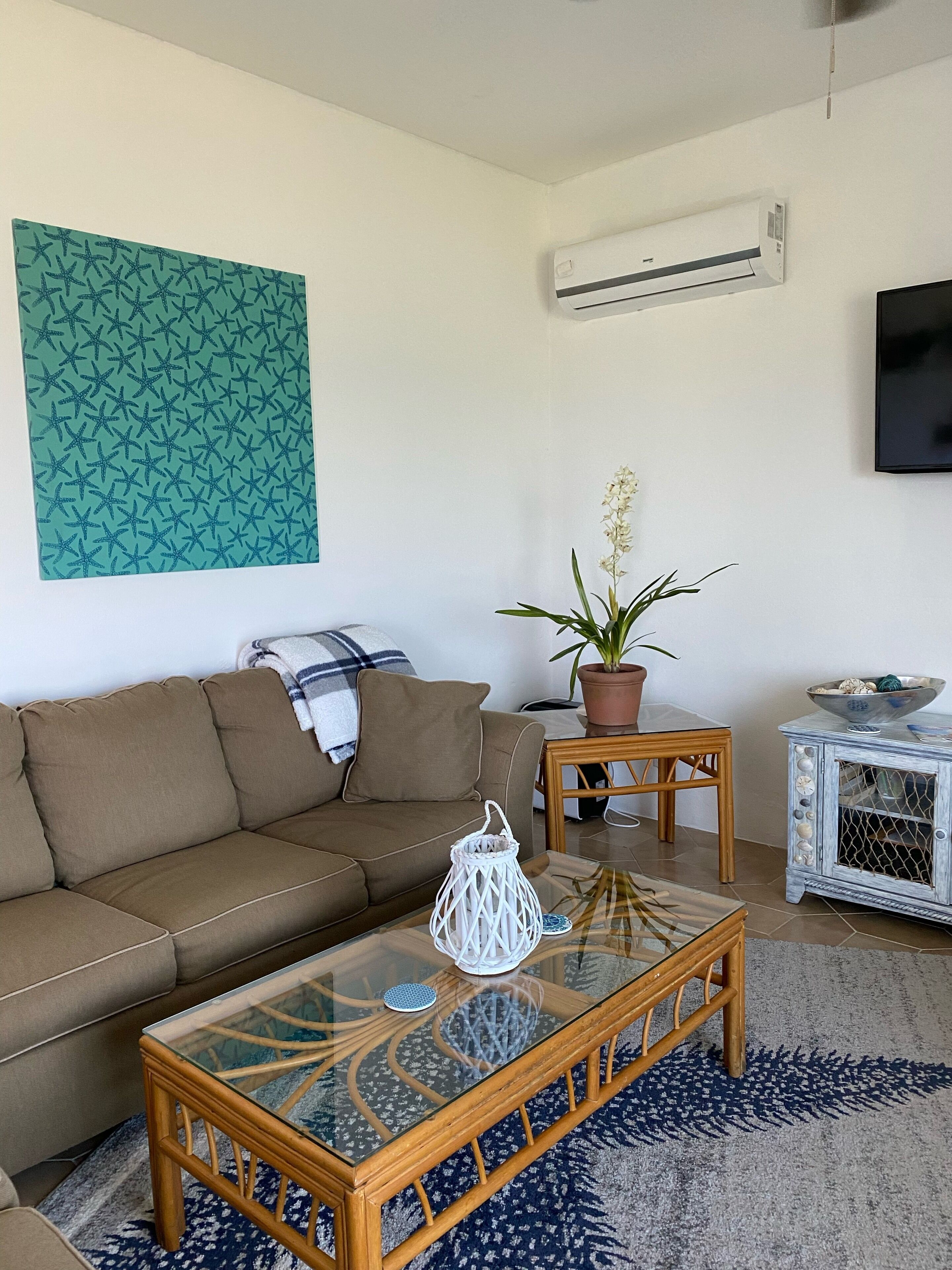 Älytelevisio, kirjoja