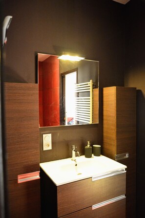 Shower, hair dryer, towels, soap - Spacious apartment in old Lyon historical location (Lyon)