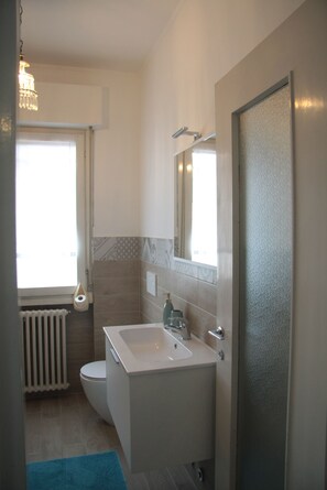 Shower, hair dryer, bidet, towels - "Bella Vista" Apartment (Premeno)