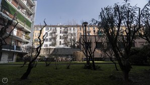 Zona residencial con edificios de apartamentos, un patio cubierto de césped y árboles sin hojas.