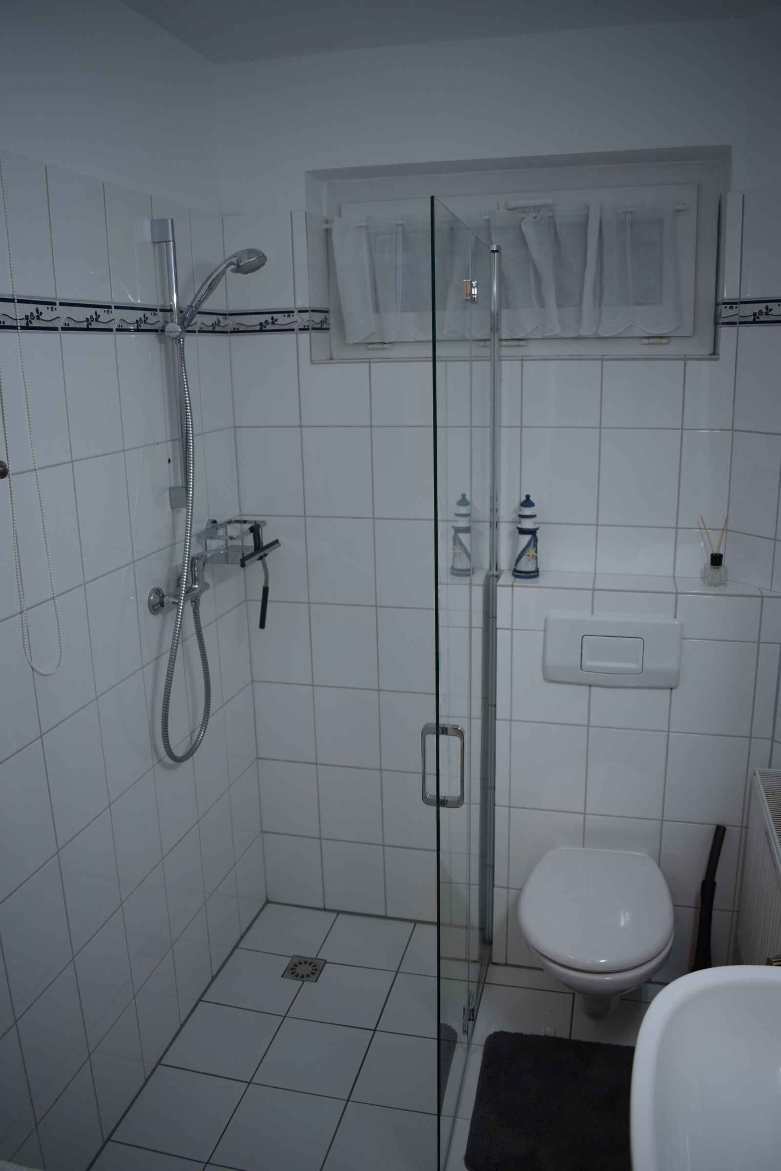Dusche, Haartrockner, Seife