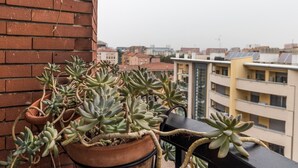 Un balcón con suculentas en macetas y vista a edificios de la ciudad.