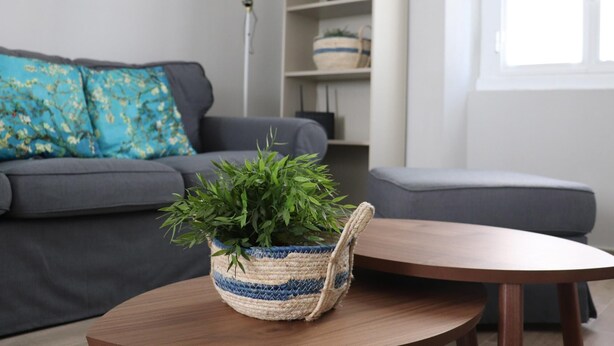Una sala de estar con un sofá gris, una mesa de centro redonda de madera y una cesta tejida con plantas verdes.