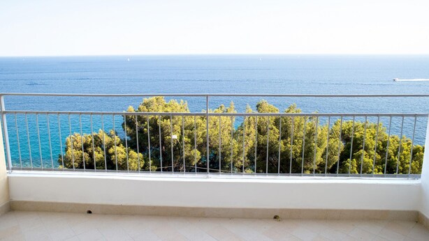 A balcony with a view of the sea and trees.