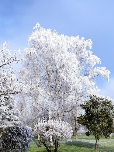 Studio 2 P in marshland, ideal for relaxation with swimming pool, rowing boat, bicycles in park.