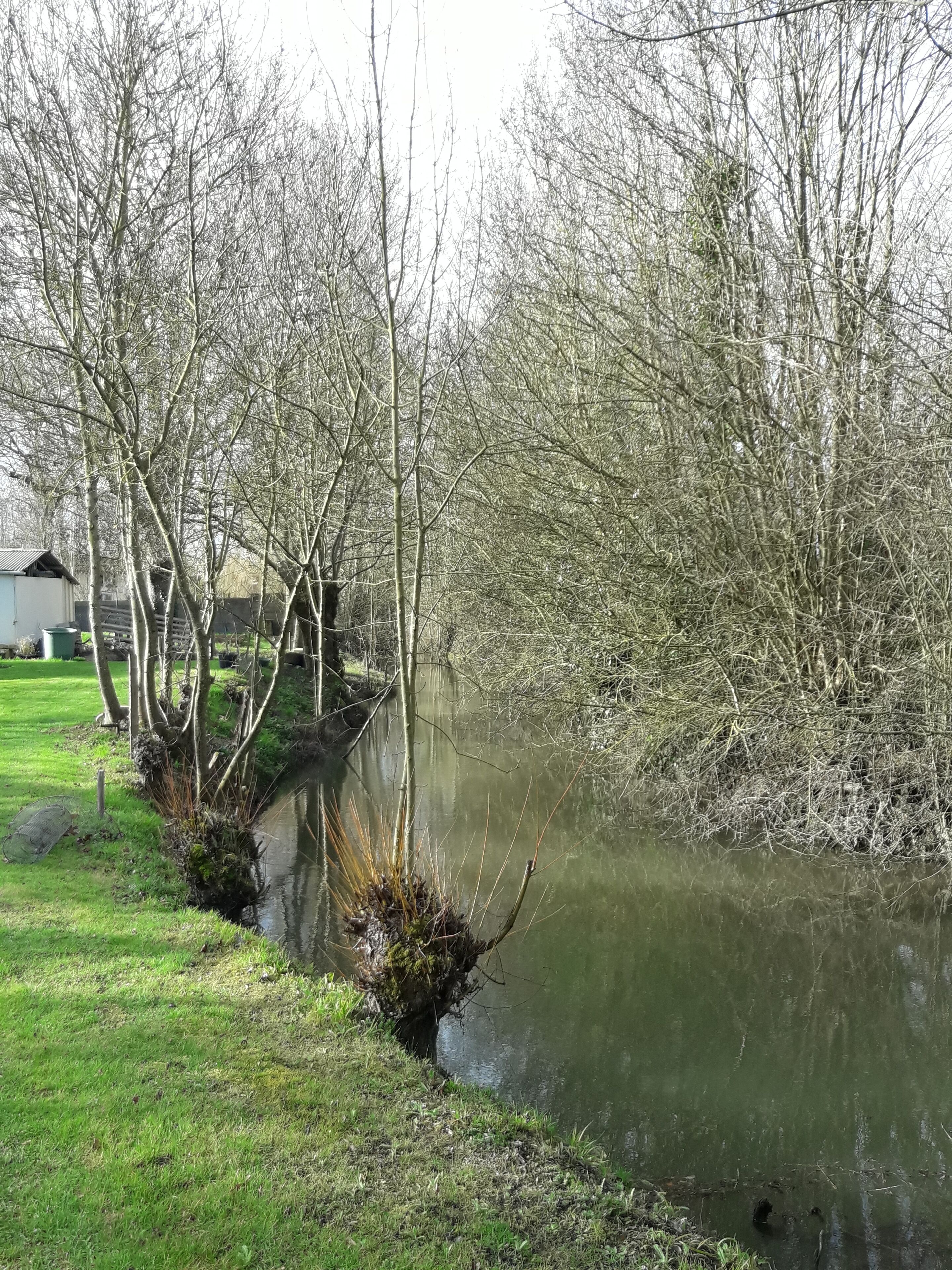 Une scène paisible au bord de la rivière, avec une berge herbeuse, des arbres et un petit bâtiment en arrière-plan.