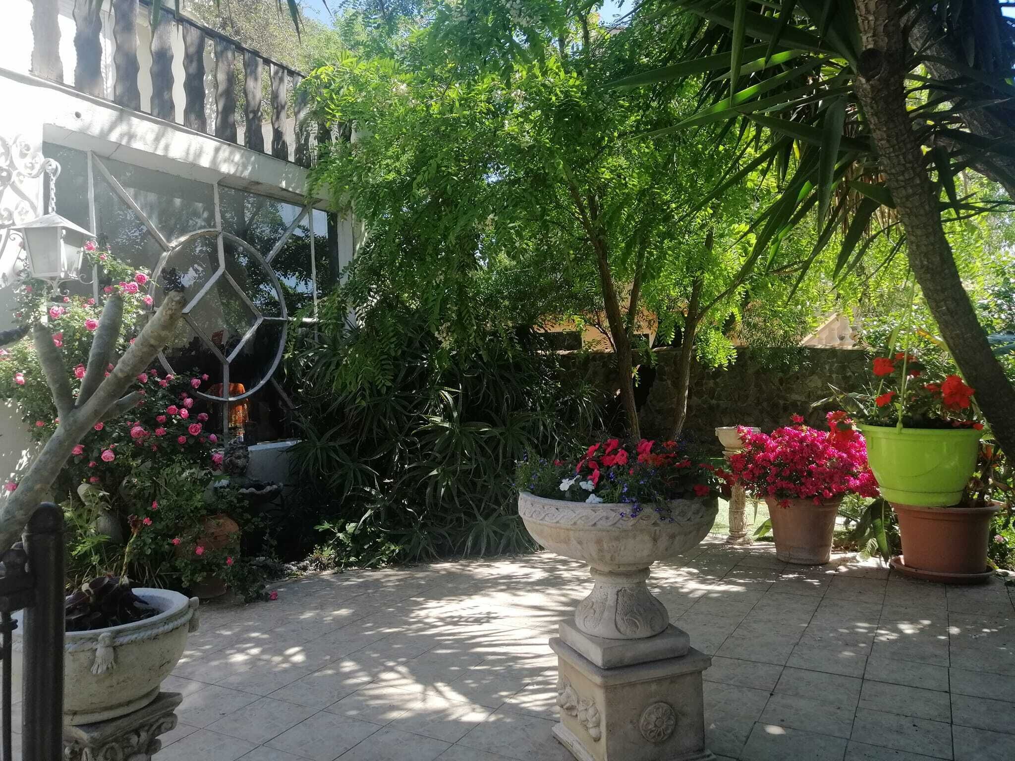 Une terrasse de jardin agrémentée de plantes en pot, d’une fontaine décorative et d’un portail en métal.