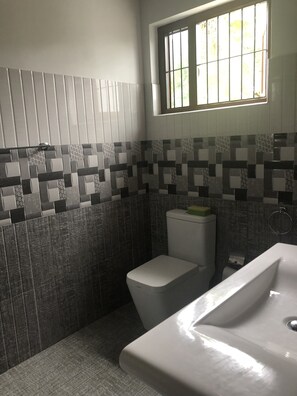 Suihku, hiustenkuivaaja, bidee, pyyhkeet