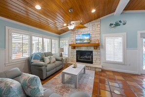 Älytelevisio, takka, DVD-soitin, kirjoja