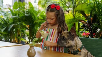 Aceita animais de estimação