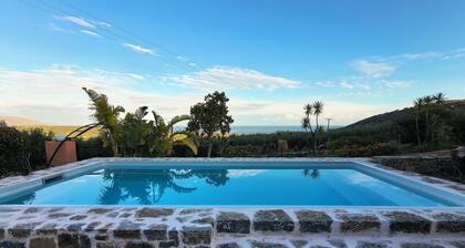 Olive grove house of Polymnia