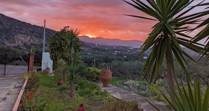 Olive grove house of Polymnia