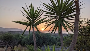 Vista de la puesta de sol con palmeras y un horizonte urbano distante.
