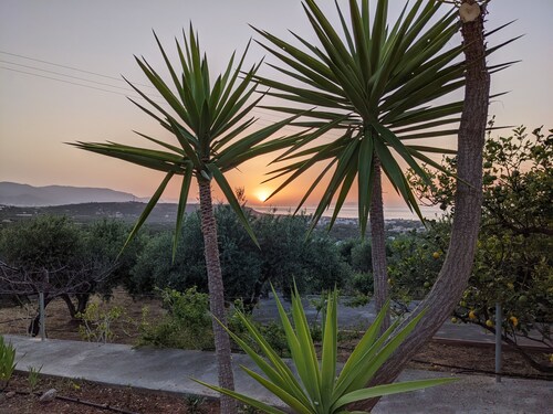 Olive grove house of Polymnia