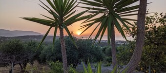 Olive grove house of Polymnia