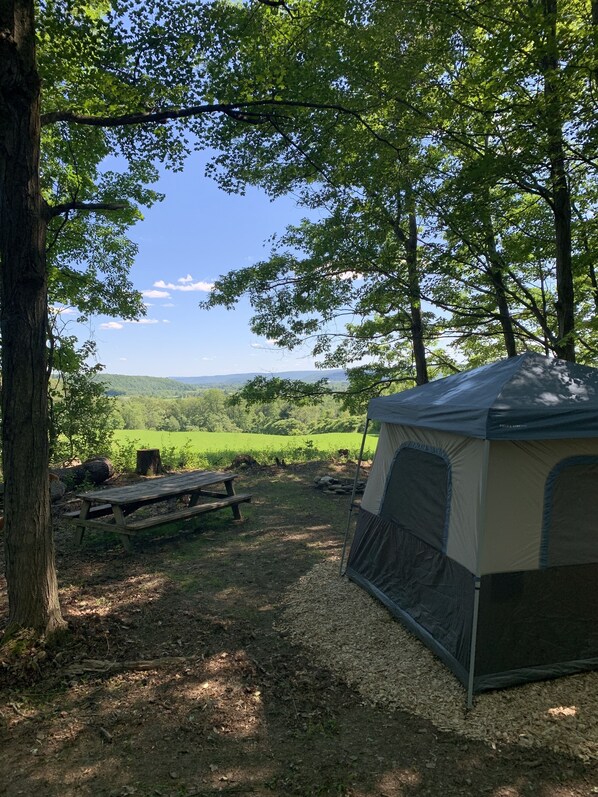 Property grounds - Finger Lakes Ten Mile View Campsite 10 minutes from Watkins Glen (Horseheads)