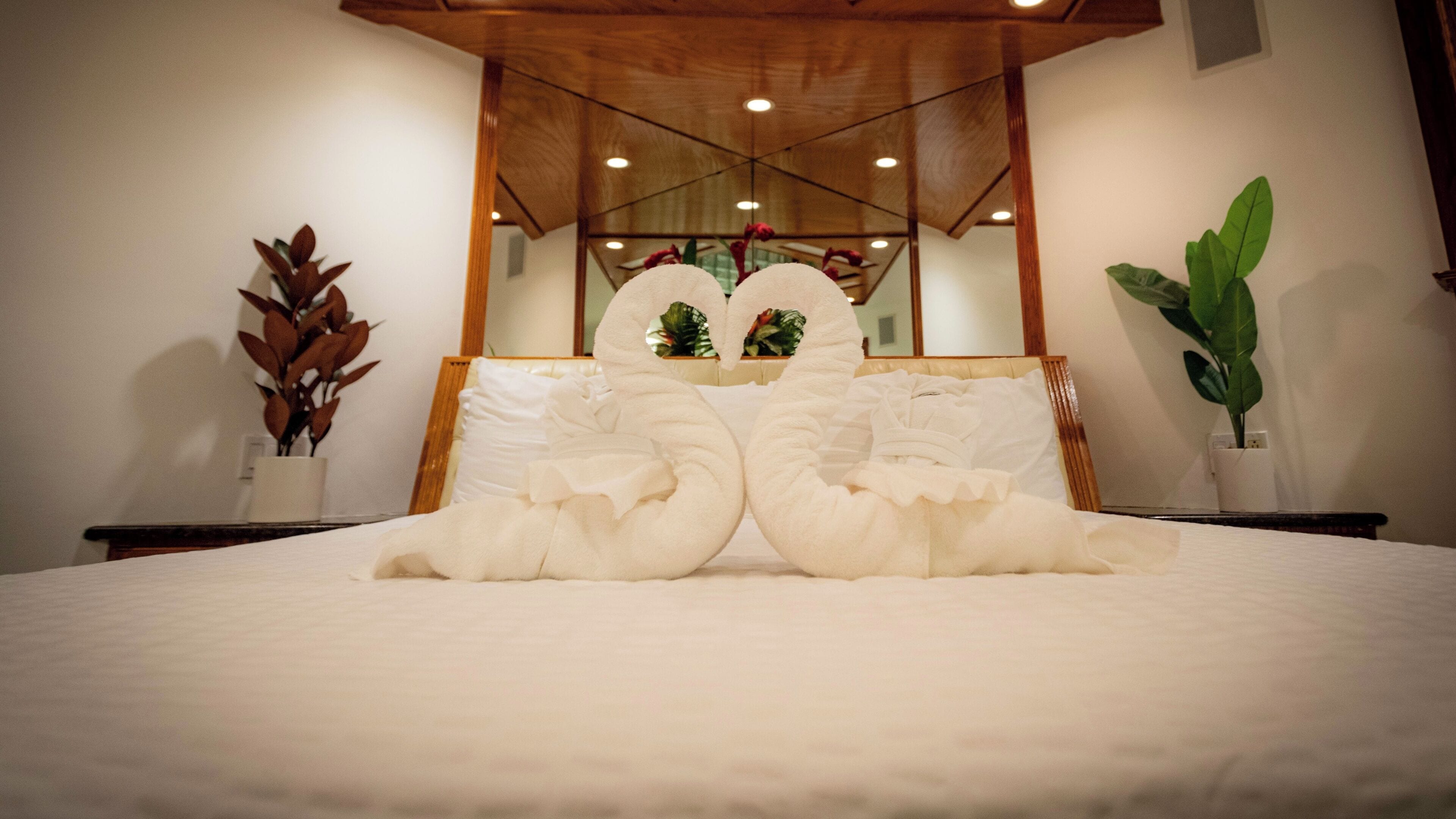A neatly made bed with a large mirror above it, a potted plant to the right, and a wooden ceiling structure.