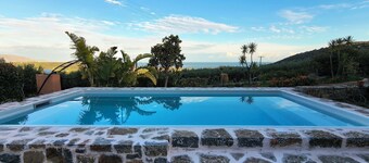 Olive grove house of Babis