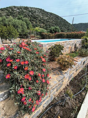 Una piscina amb una paret de pedra, un cactus amb flors roses i un paisatge montanyós al fons.