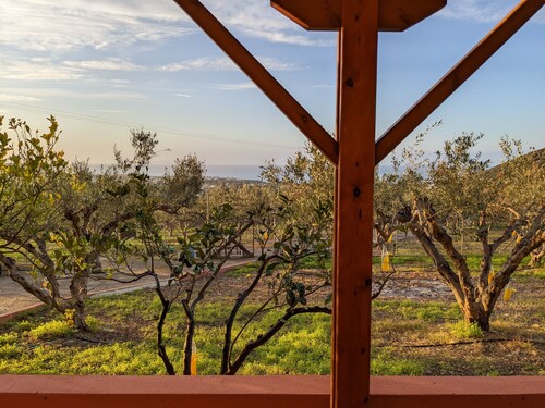 Olive grove house of Babis