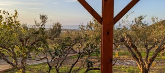 Olive grove house of Babis