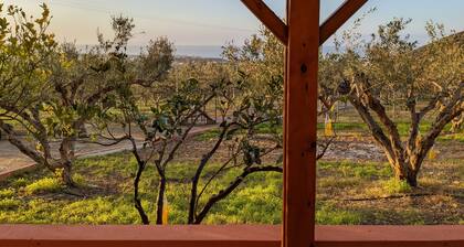 Olive grove house of Babis