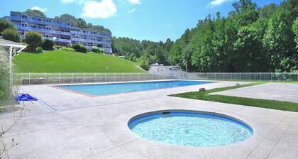 Recently updated 1 BR Condo with stunning lake views - No cleaning or linen fees
