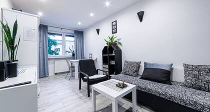 Modern apartment in the city center