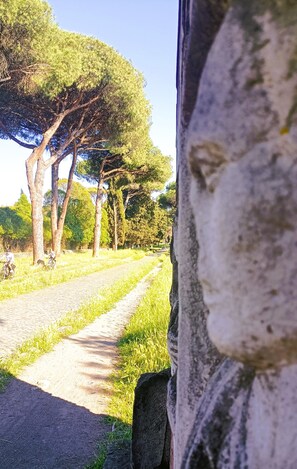 Detalhe da fachada