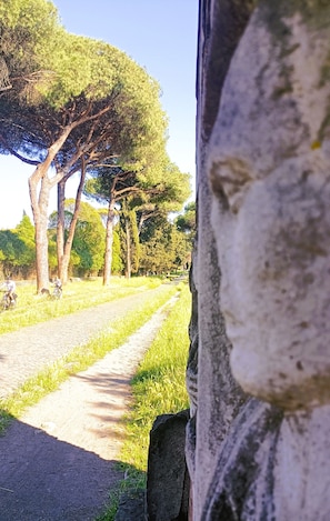 Detalhe da fachada